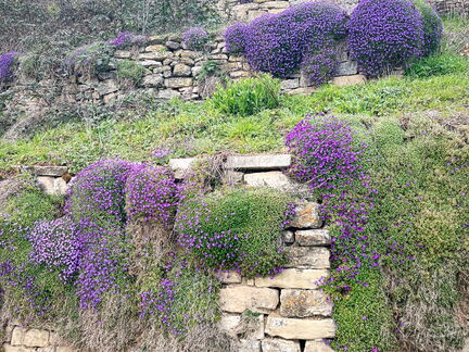 23-03-17 15-12-18 4928